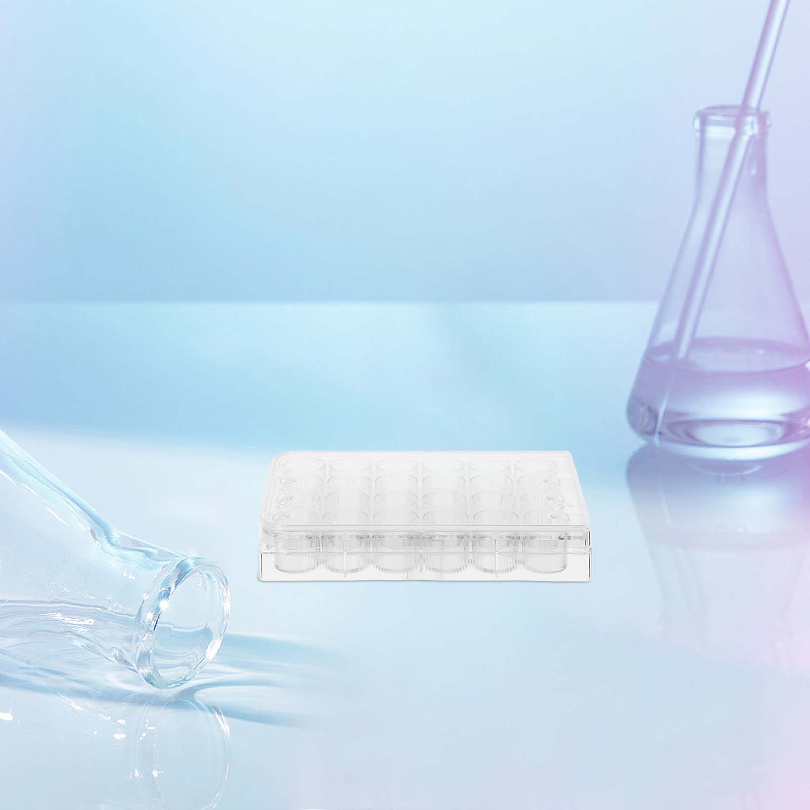 Lab Equipment - 2 Pezzi Piastre per Colture Cellulari