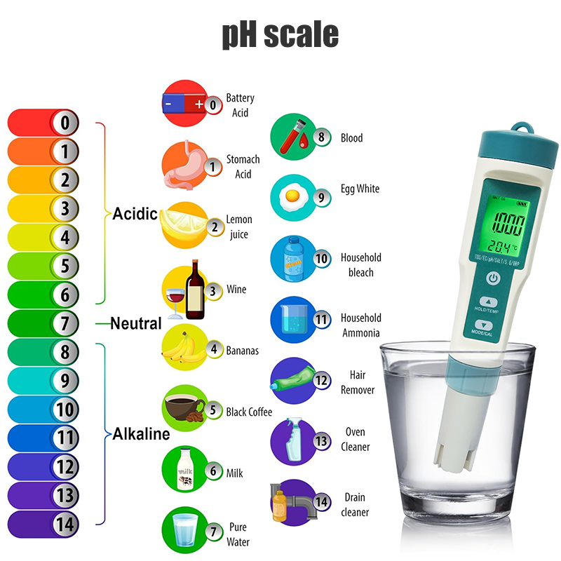 WESTTUNE Misuratore PH digital - Ph Meter Digital Water Tester recensione e prezzo