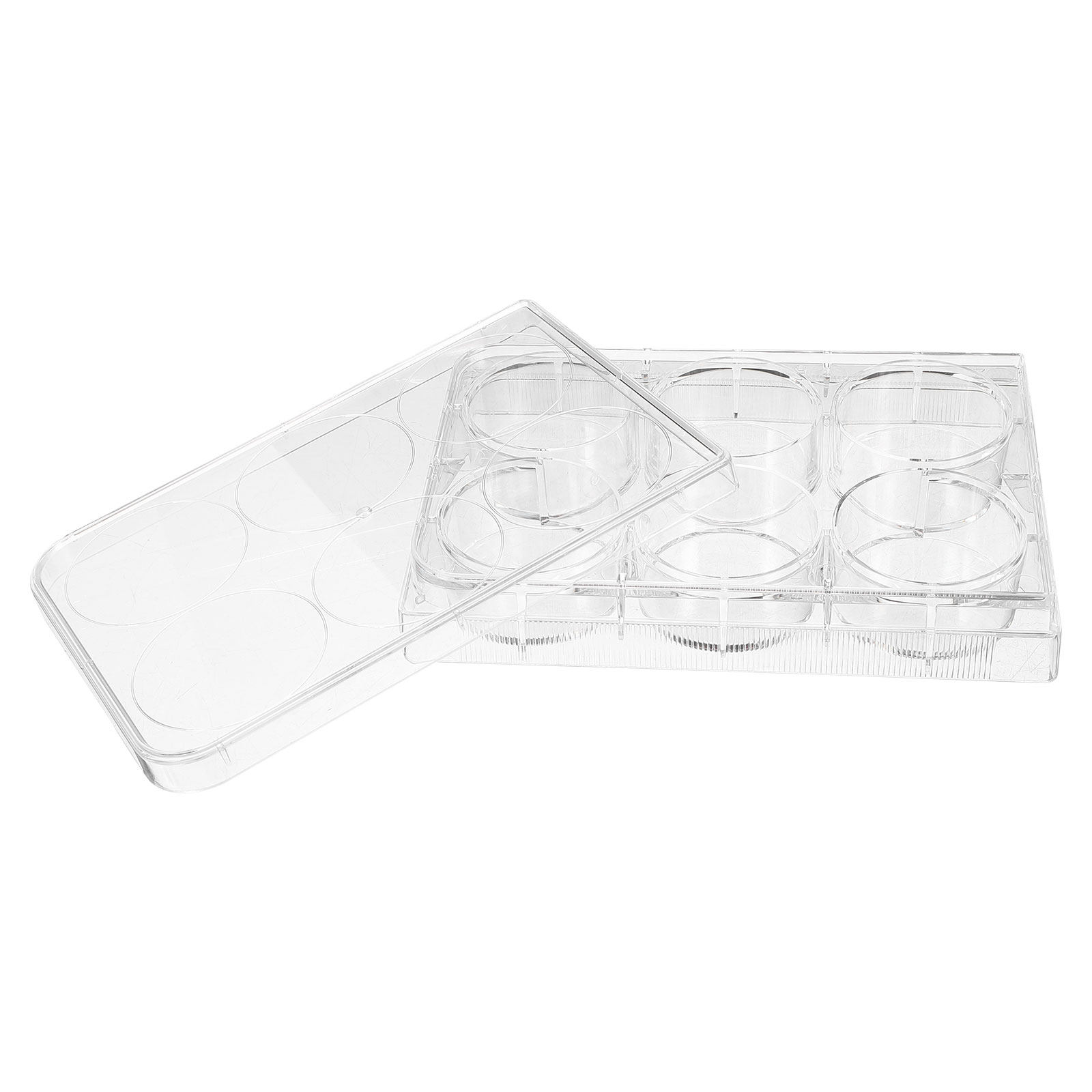 Piastra per coltura cellulare  - Lab Equipment recensione e prezzo