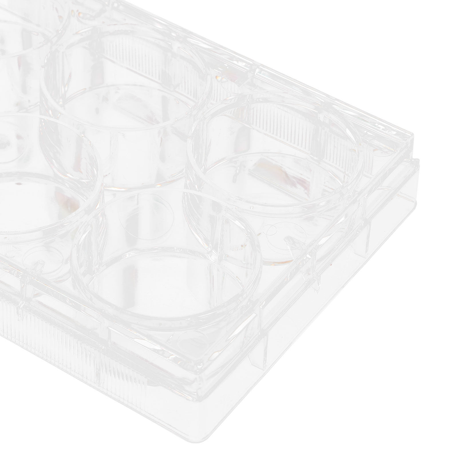 Piastra per coltura cellulare  - Lab Equipment recensione e prezzo